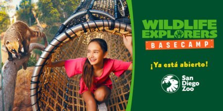 Detenciones en caso del “viernes negro”: resultado de coordinación