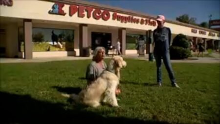 Mujer se reencuentra con su golden retriever robado hace semanas