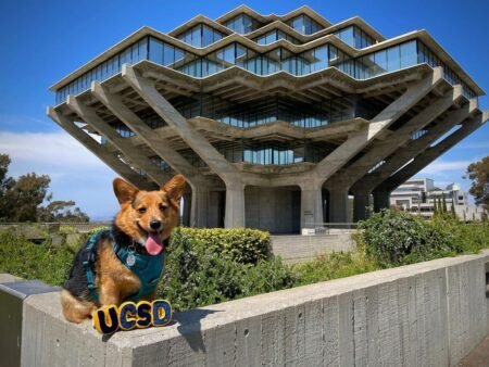 UC San Diego entre las 20 mejores universidades del mundo