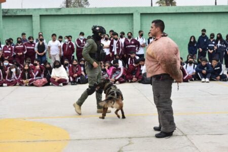 Exhibición de agentes K9 en Ensenada