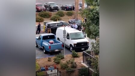 Arrestan a mujer sospechosa de asesinar a su propia hija