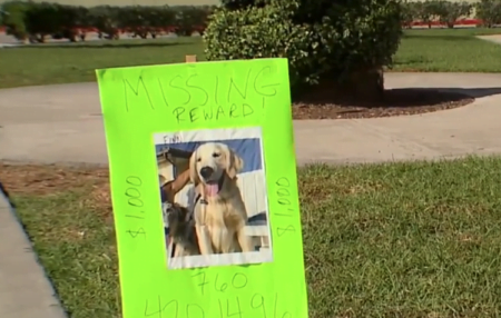 Sospechosa de secuestrar a perro se declara inocente