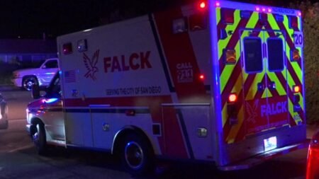Hombre arrestado por apuñalar a su hermano