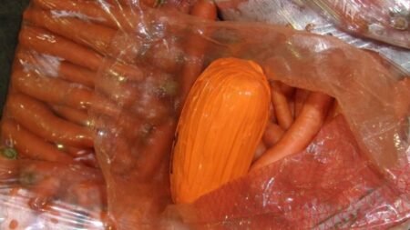 Incautan metanfetamina en carga de zanahorias en Otay Mesa