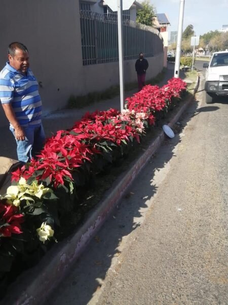 Apoyan a vendedores ambulantes durante mes navideño