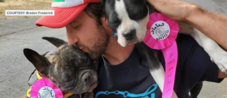 Roban carros con perros adentro