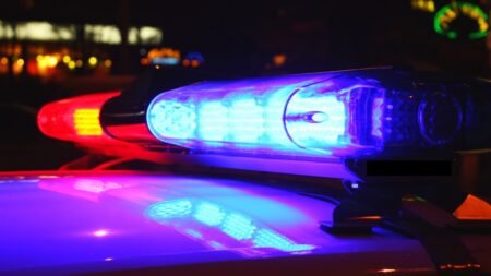 Investigan muerte de mujer atropellada por un auto en Palomar
