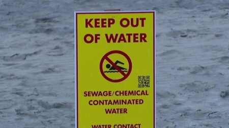 Cierran playas al sur por contaminación