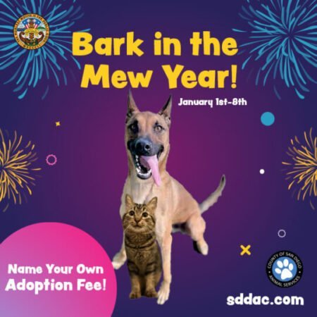 Promueven la adopción de mascotas este Año Nuevo