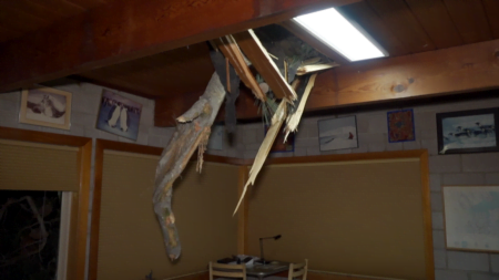 Árbol cae sobre casa ubicada en Del Mar