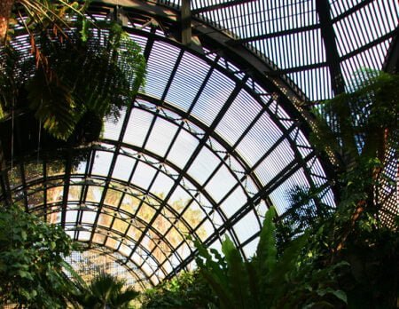 Robaron un bonsái del Jardín de la Amistad Japonesa en Balboa Park