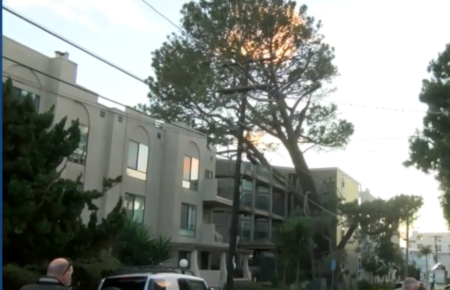 Cae enorme árbol sobre Pacific Beach
