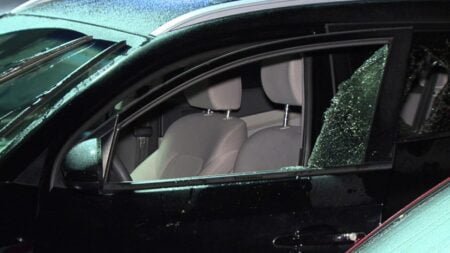 Roban y apuñalan a una mujer en San Diego