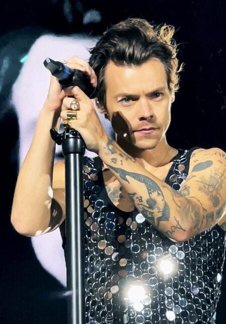 Harry Styles anunció pausa a su carrera musical