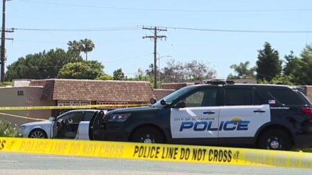 Kimberly Foster fue asesinada por su pareja en Oceanside