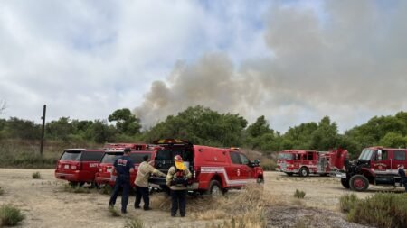 Bomberos apagan incendio en South Bay