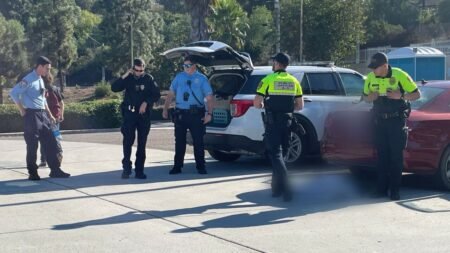 Muere perro dentro de auto por altas temperaturas