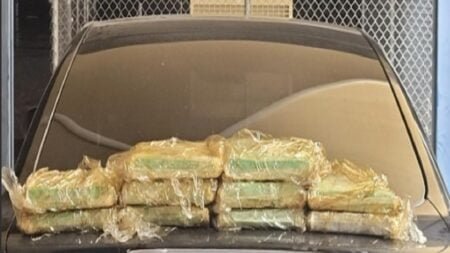 Decomisan droga en sector El centro