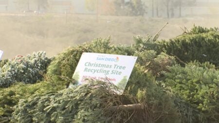 Dónde reciclar árboles de Navidad en San Diego