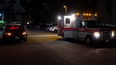 Mujer hospitalizada tras violento robo de auto