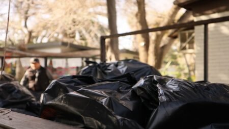 Recolectan siete toneladas de basura semanalmente en Parque Morelos