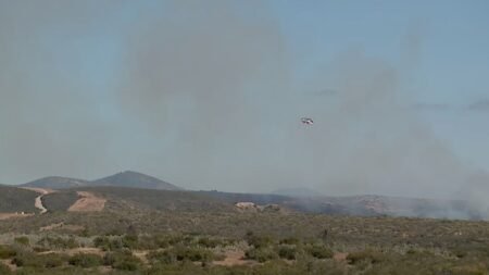 Bomberos combaten un incendio forestal en Miramar