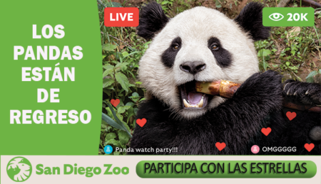 ¡PARTICIPA POR TUS BOLETOS PARA IR AL SAN DIEGO ZOO CON LAS ESTRELLAS!