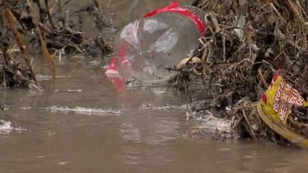 Investigan efectos en salud por contaminación del río Tijuana en SD