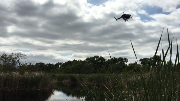 Condado de San Diego Realizará Tratamientos Aéreos Contra Mosquitos para Combatir el Virus del Nilo Occidental
