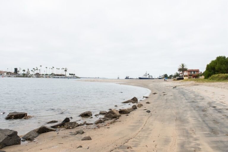 El Puerto de San Diego Repondrá Arena en Kellogg Beach para Combatir la Erosión