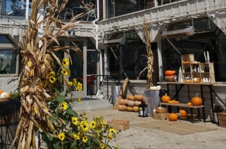 Seaport Village celebra el otoño con tallado de calabazas y zoológico interactivo para niños