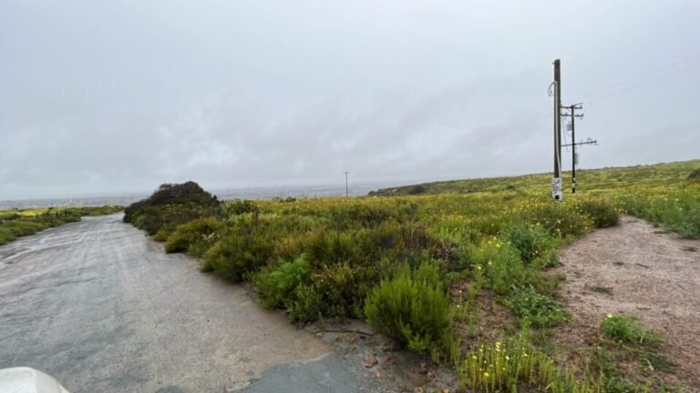 Supervisores del Condado Aprueban Avances en Estudio de Contaminación del Suelo en el Valle del Río Tijuana