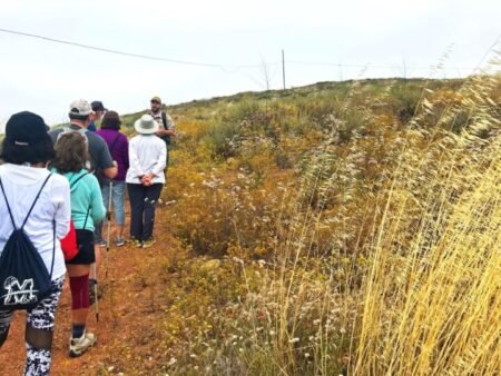 El Condado invita a celebrar el “Green Friday” con actividades gratuitas al aire libre