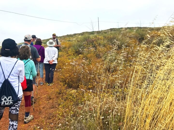 El Condado invita a celebrar el “Green Friday” con actividades gratuitas al aire libre